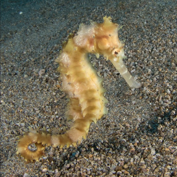 Meet your Posher, Jennifer - Picture 5 of 12